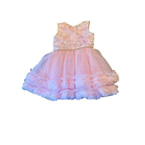 Disney Princess Aurora Dress Pink Embroidered Tulle With Ruffles Size 4 For Girl - Picture 5 of 6